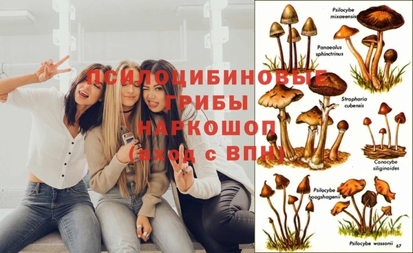 ешки Михайловка