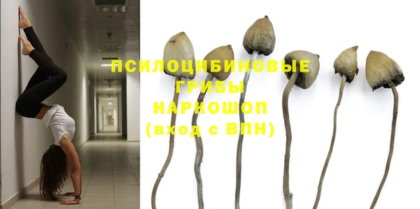 метадон Медногорск