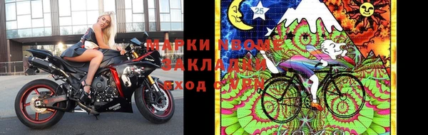 стаф Михайловск